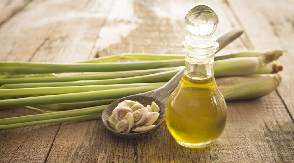 bottle of lemongrass oil and fresh lemongrass