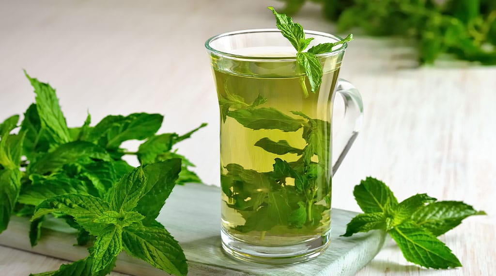 Fresh mint tea in glass