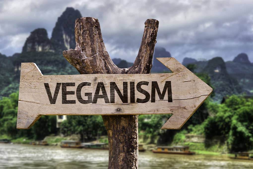 A wooden sign pointing the way to a vegan lifestyle