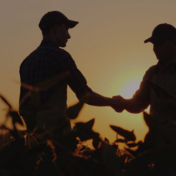 silhouette of men shaking hands in a field