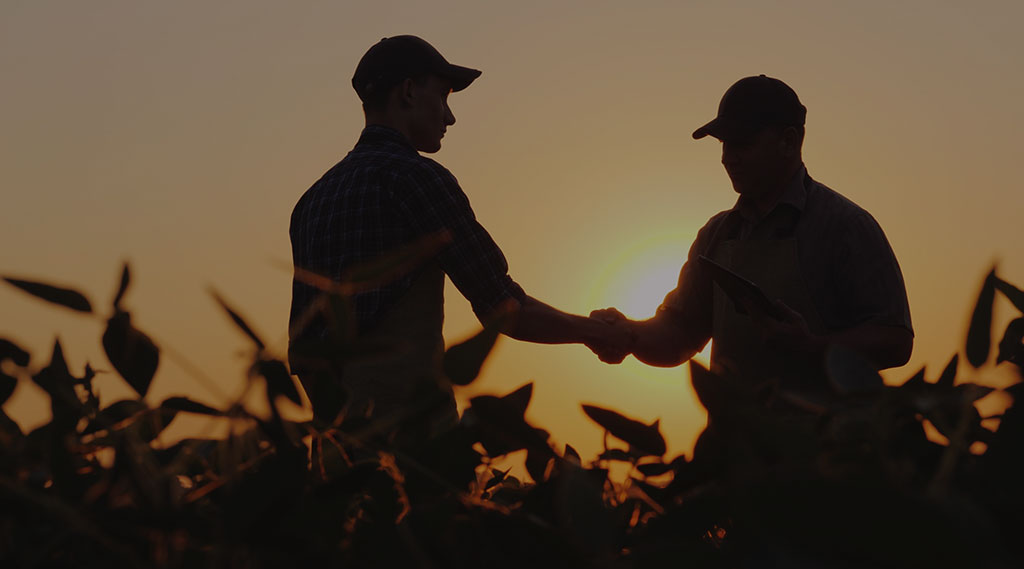 silhouette of men shaking hands in a field