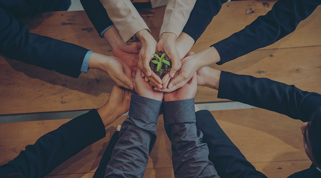 many people holding a plant in their hands